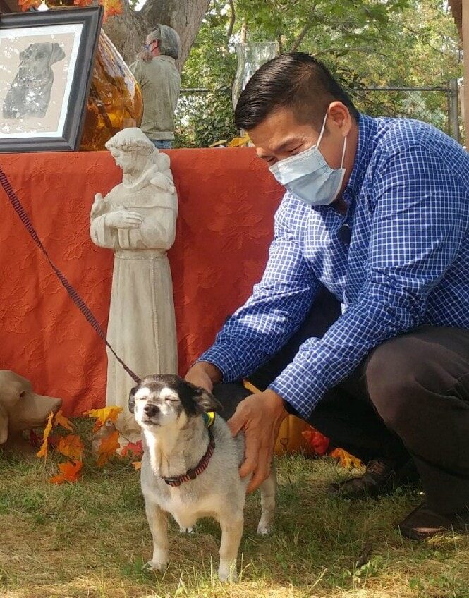 Blessing of the Animals 2023